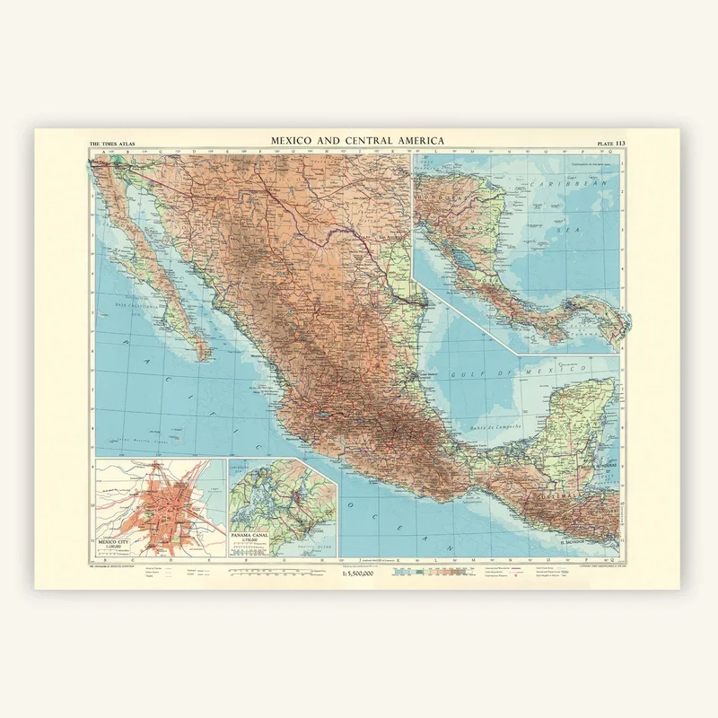 cartopolo1300333