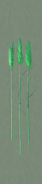 wall-art-1413039