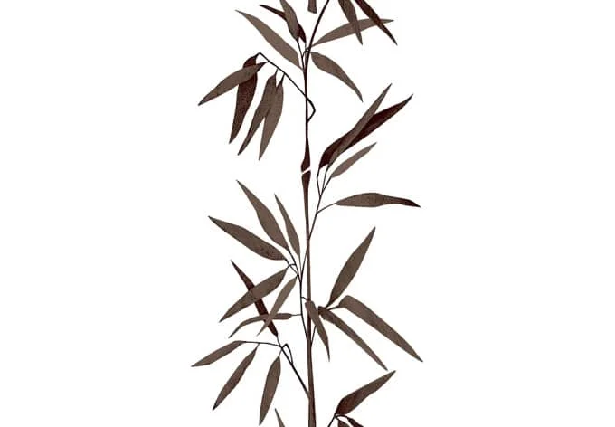 wall-art-1416250